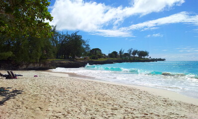 tropical beach in the carbbean