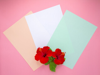 Red hibiscus flowers laying on different color papers. 