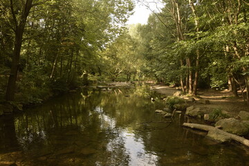 Sommer an der Liesing 1