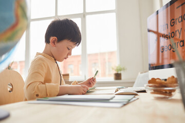 Sde view portrait of cute little boy doing homework while sitting at desk by computer with online school website, copy space
