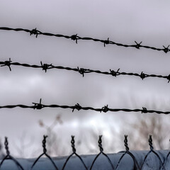 Square frame Sharp barbed wires of rusty chain link fence with blurred cloudy sky background