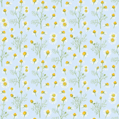 Obraz na płótnie Canvas Seamless pattern with chamomile flowers on a pale sky-blue background. Watercolor drawing of the elements. Peaceful and romantic summer background. 