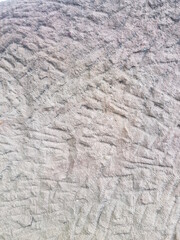 stone wall texture