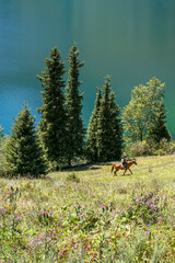 Allphotokz Lake Kolsay-1 20050814 2944 20D S