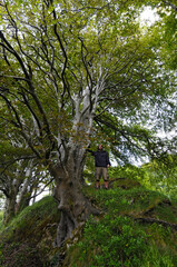 Cercle de fée, utilisé pour les prières, formé d'un amoncellement de terre avec un sentier cheminant sous les arbres dans la région des Burren à l'ouest de l'Irlande.