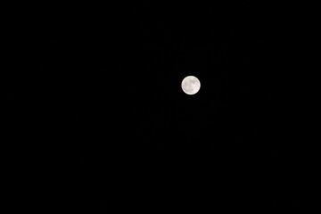 Full natural moon in black dark background during night