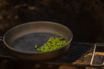 Wild edibles from the forest, Spruce tips 