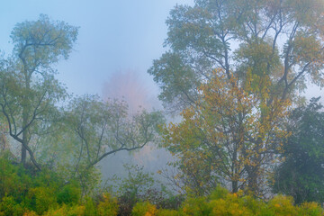Foggy autumn landscape at sunrise of the shoreline of Whitford Lake, Fort Custer State Park, Michigan, USA