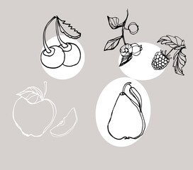 Fruits drawing vector on pastel background food cherry illustration line apple leaf sketch symbol design menu diet fruit healthy delicious leaf single natural sweet