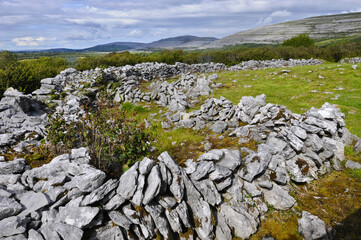 Rochers, murets de pierre et Dolmen dans les Burren à l'ouest de l'Irlande, offrent un paysage coloré et mystique datant de l'époque celte et du néolithique.