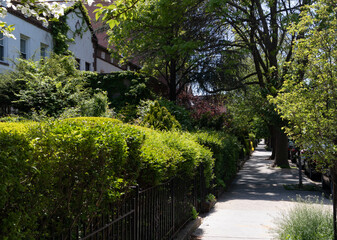 Beautiful Spring Sidewalk Scene with Old Homes and Green Gardens in Astoria Queens New York