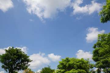 textured of cloud on blue sky