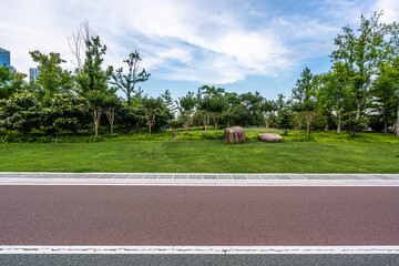 road in park