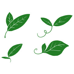 hand drawn doodle leaves illustration symbol isolated