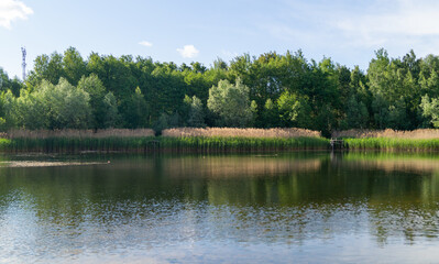 Fototapeta na wymiar small lake in the forest on a summer sunny day