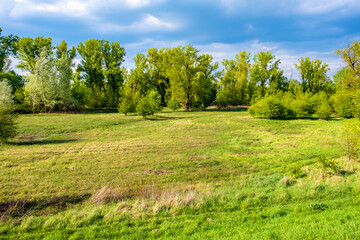 Panoramic view wetlands wooded meadows of Lawice Kielpinskie natural reserve at the Vistula river near Lomianki town north of Warsaw in central Mazovia region of Poland