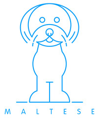 Maltese dog vector illustration and typography design, Malta