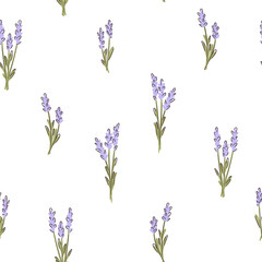 Obraz na płótnie Canvas Lavender flower seamless childish pattern on white background. Texture for - fabric, wrapping, textile, wallpaper, apparel. 