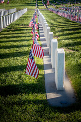 Military Headstones Decorated with Flags for Memorial Day