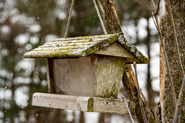 Old Birdhouse