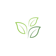 Leaf  ecology Logo Template vector