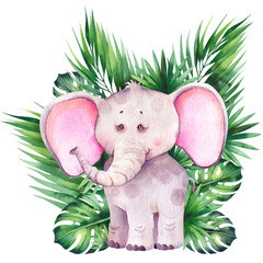 Little cartoon elephant with tropical palm leaves. © JeannaDraw