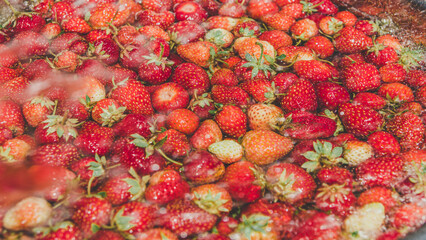 Freshly picked organic farm grown strawberries bathed in water background