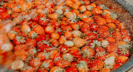 Freshly picked organic farm grown strawberries bathed in water background