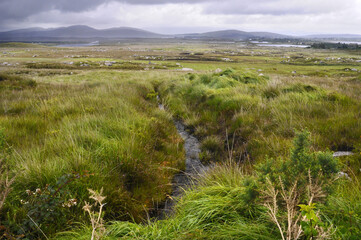Vaste plaine verte, humide, rocheuse et herbeuse, parsemée de ruisseaux et de lacs sous un ciel nuageux et orageux dans le Connemara en Irlande.