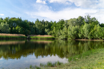 small lake in the forest on a summer sunny day