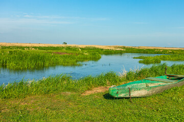 Narew Podlasie Podlaskie Narwiański Park Narodowy  Rzeka woda kajak łódka trzcina © Dariusz