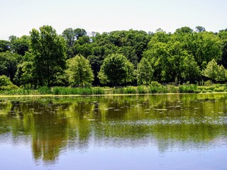 Reflections Of The Green Forest Trees Over A Pond In New Jersey