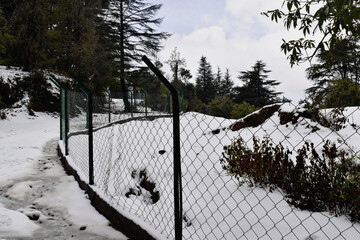 fence in snow