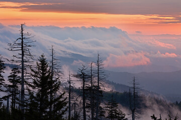 Fototapeta na wymiar Foggy landscape at sunrise from Clingman's Dome, Great Smoky Mountains National Park, Tennessee, USA