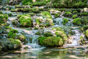 Fototapeta na wymiar Green waterfall cascade of Franconian Switzerland