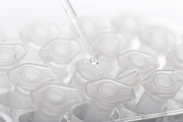 pipette and scientific laboratory test tubes in a genetic laboratory. study of a virus or...