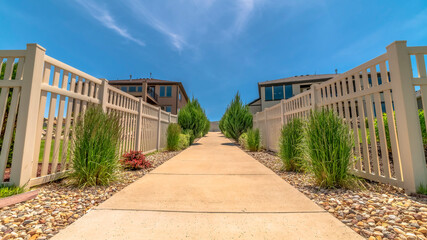Panorama frame Paved concrete pathway in the middle of white picket fences and green shrubs