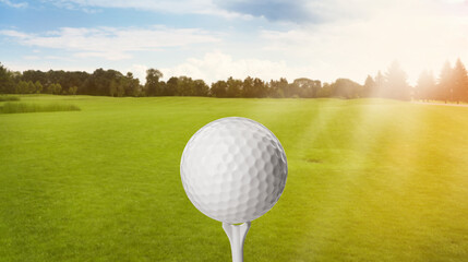 Golf ball with tee in park on sunny day