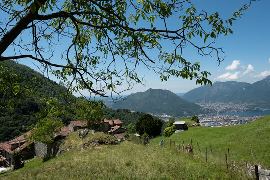 paesaggio di montagna con prato fiorito e staccionata di legno in valsassina, concetto di persone all'aperto dopo il corona virus
