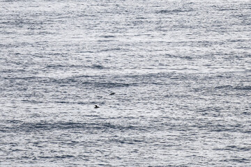 Färöer - Inseln im Nordatlantik