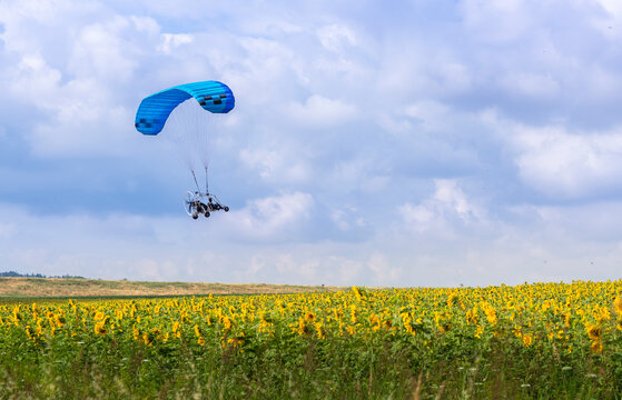 Powered parachute, or PPC, flying over a sunflower field for recreation; cloudy summer day in rural Ayalon Valley, Central Israel