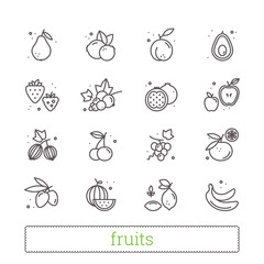 Fruits and berries thin line icons. Modern linear design elements and food symbols for web interface and mobile app. Isolated vector set on white background.