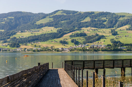 Rapperswil, Z&uuml;richsee, Obersee, Holzsteg, Holzbr&uuml;cke, Seeufer, Schilf, See, Naturschutz, Oberer Z&uuml;richsee, Wasserv&ouml;gel, Lachen, Glarner Alpen, Wanderweg, Hurden, Pf&auml;ffikon, Sommer, Schweiz