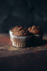 Beautiful chocolate muffins with pieces of chocolate on dark background with place for text