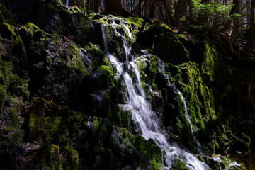 waterfall in the forest