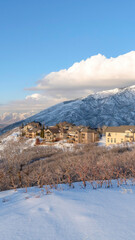 Vertical crop Wasatch Mountains landscape in winter with houses sitting on the snowy slope