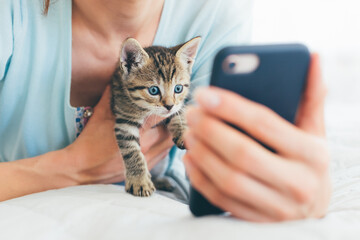 Cropped image of young woman lying on bed with tabby kitten and watching on phone - closeup of...