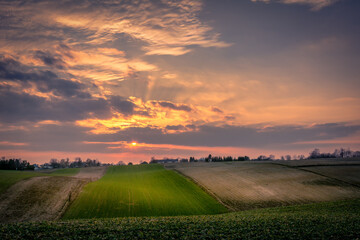 Obraz premium sunset over the wheat field