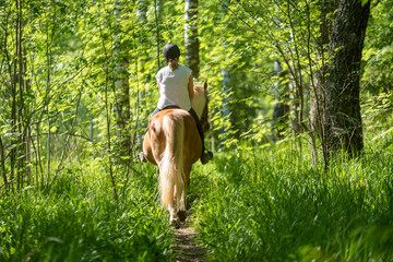 Woman horsebackriding in forest