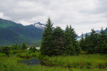 Fototapeta na wymiar Juneau, Alaska, USA: Marshland and snow-capped mountains on Mendenhall Lake, near the Mendenhall Glacier.
